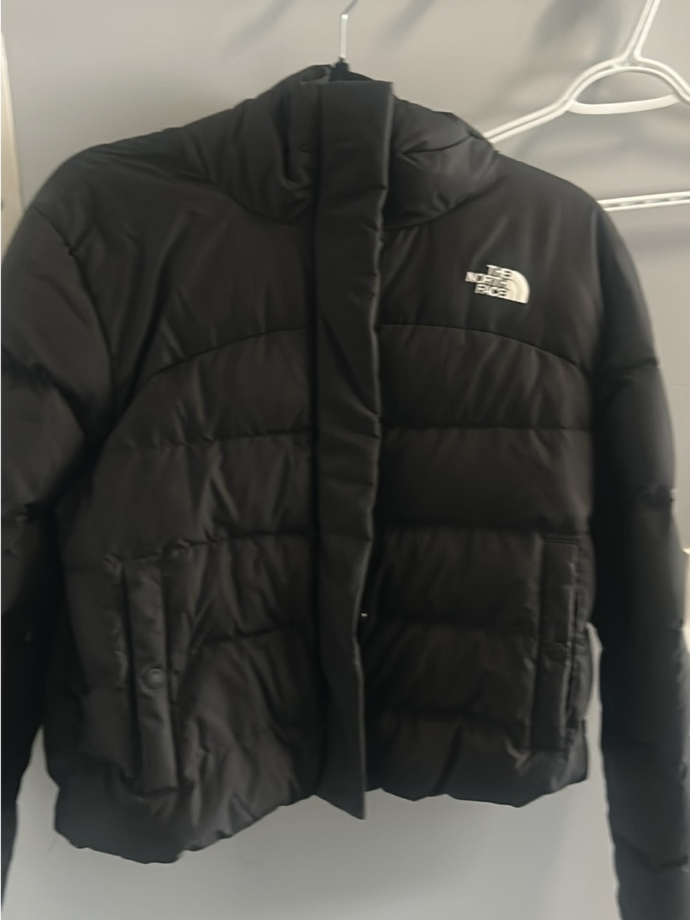 The North Face Women’s Black Quilted Puffer Jacket with Hood